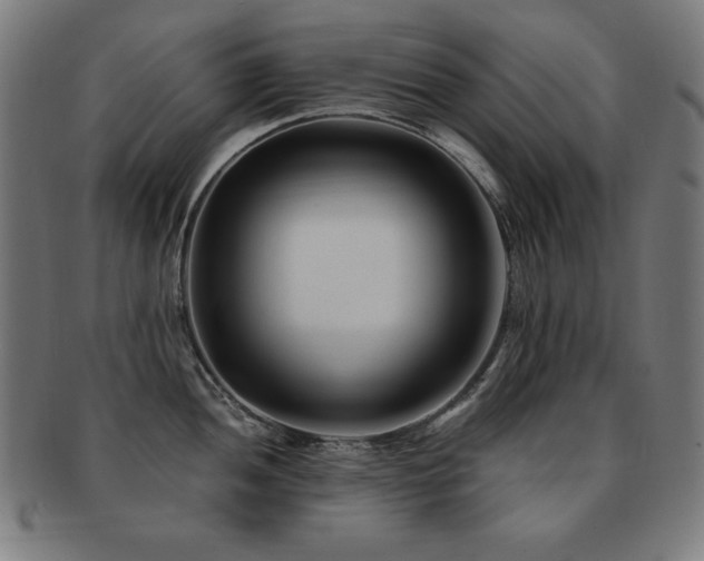 X0000091881052200709051320