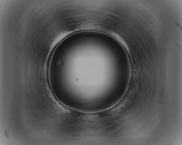 X0000091881053200709051320