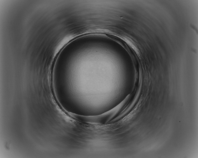 X0000091881054200709051320