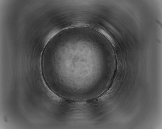 X0000091881055200709051320