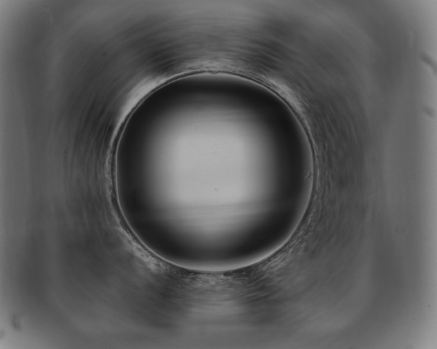 X0000091881056200709051320