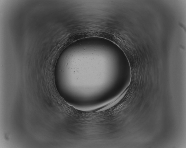 X0000091881057200709051319