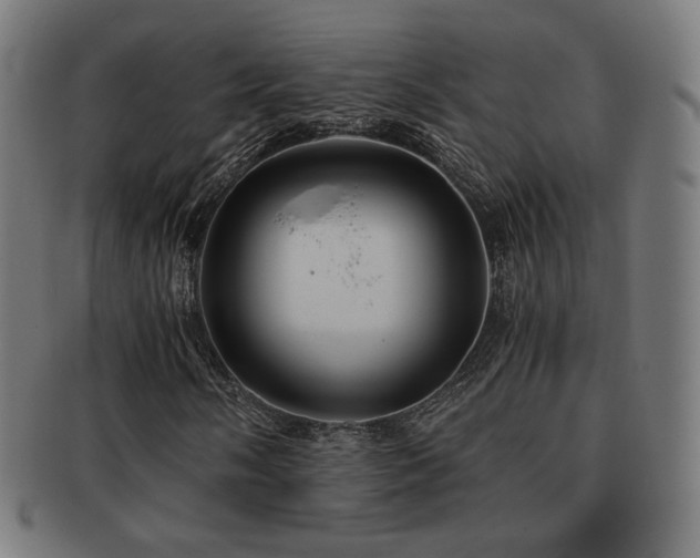 X0000091881058200709051319