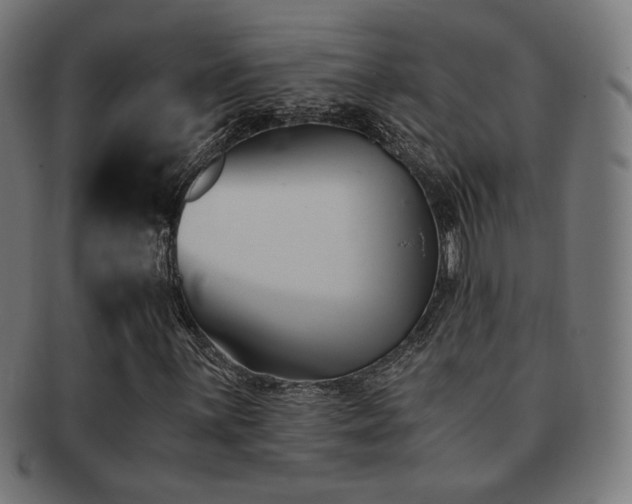 X0000091881059200709051319