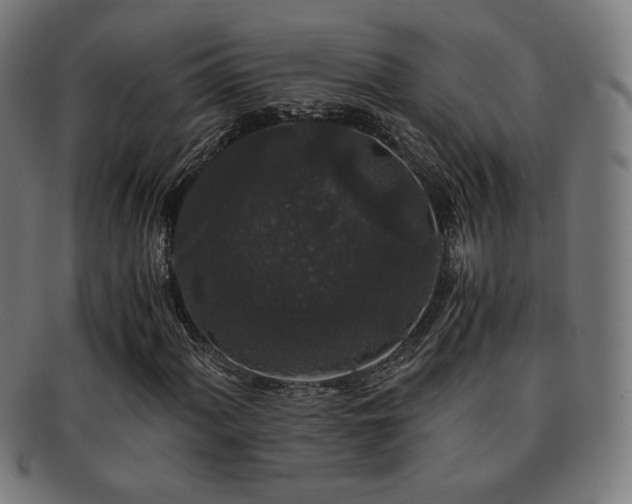 X0000091881060200709051319