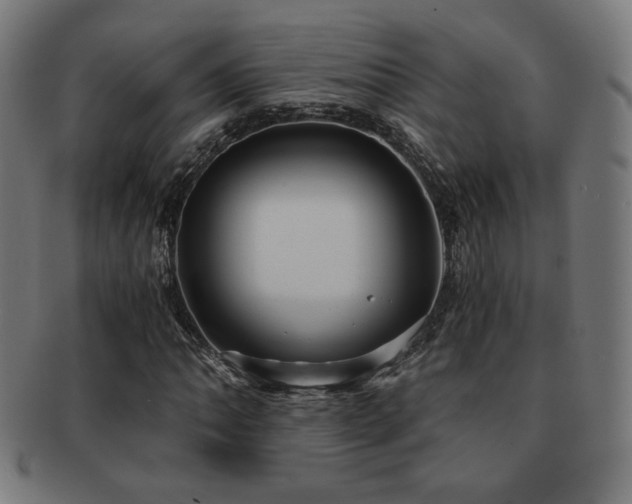 X0000091881062200709051319