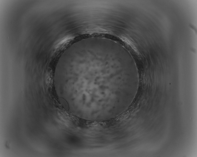 X0000091881063200709051319