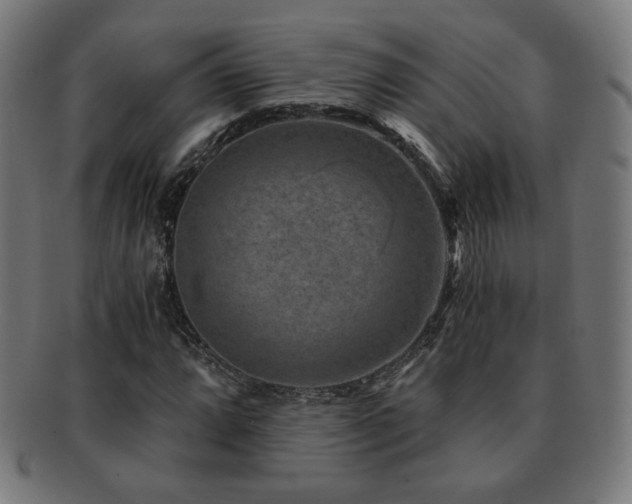 X0000091881064200709051319