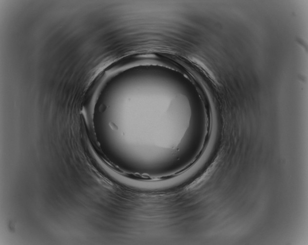 X0000091881065200709051319