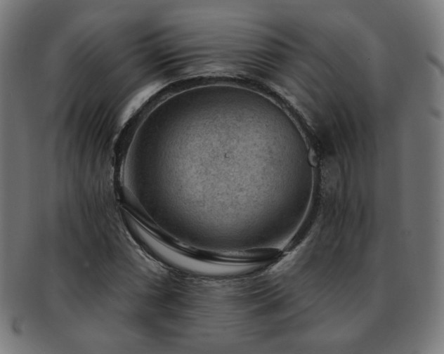 X0000091881066200709051319