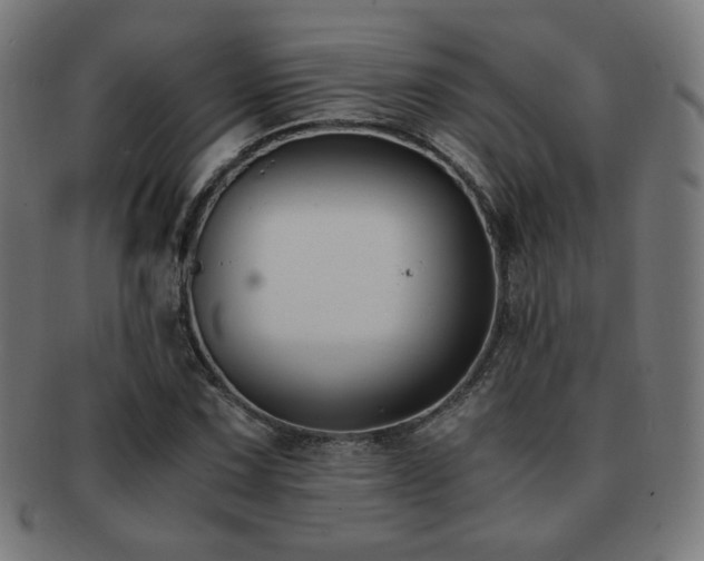 X0000091881067200709051319