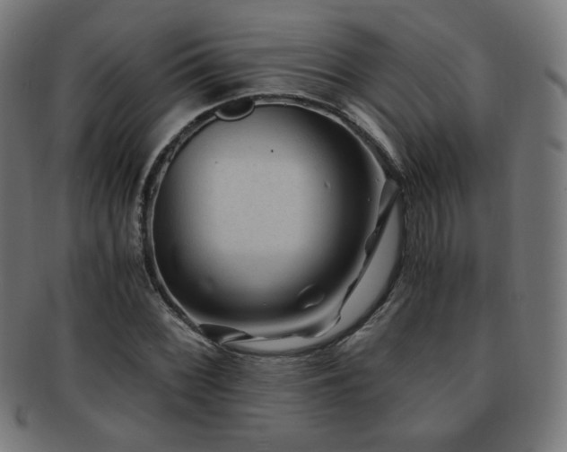 X0000091881068200709051319