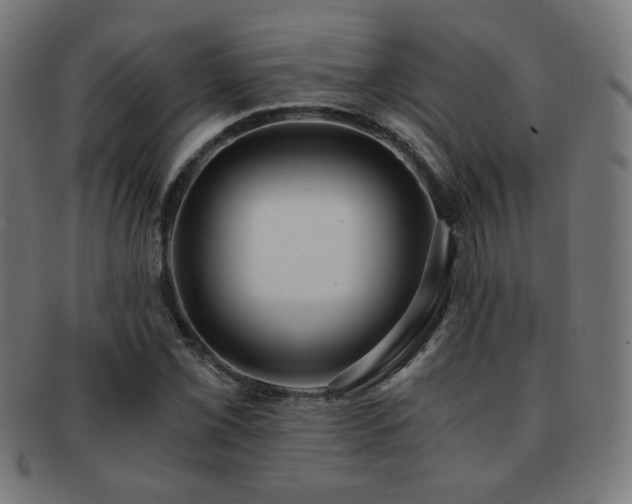 X0000091881069200709051319