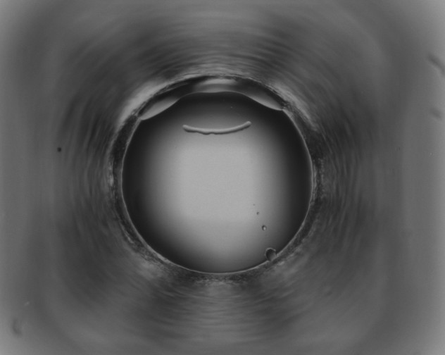 X0000091881070200709051319