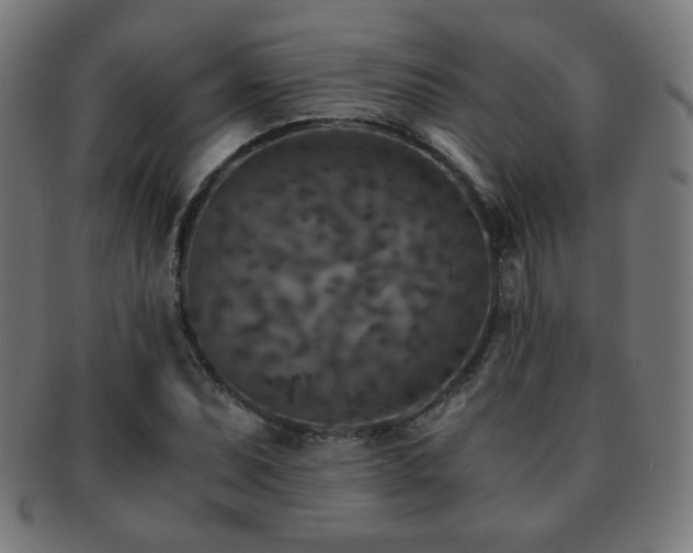 X0000091881071200709051319