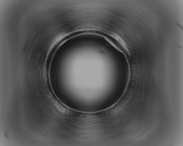 X0000091881072200709051319