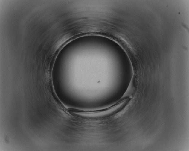 X0000091881073200709051319