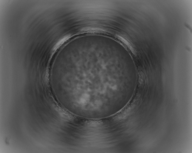 X0000091881074200709051319
