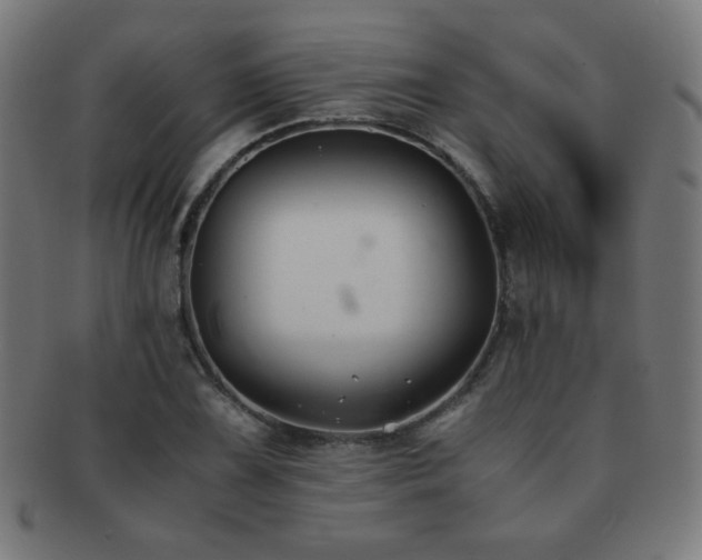 X0000091881075200709051319