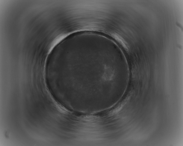 X0000091881077200709051319