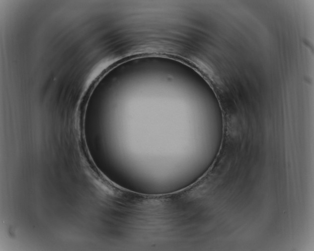 X0000091881078200709051319