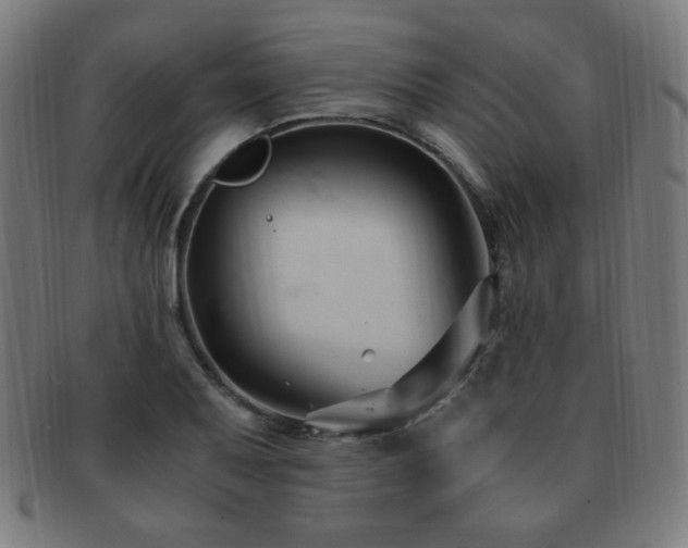 X0000091881079200709051319