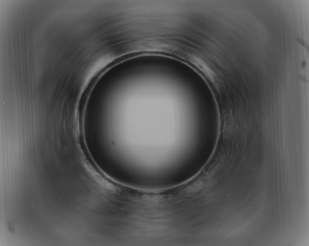 X0000091881080200709051319