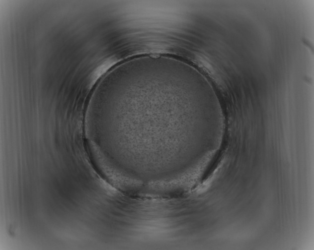 X0000091881081200709051319