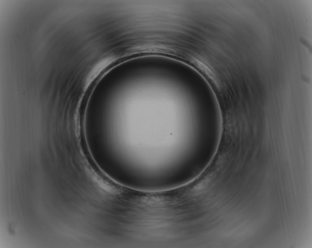 X0000091881082200709051319