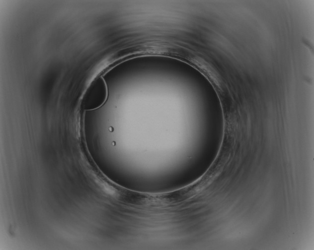 X0000091881083200709051319