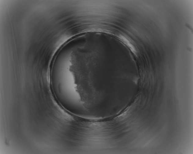 X0000091881084200709051319