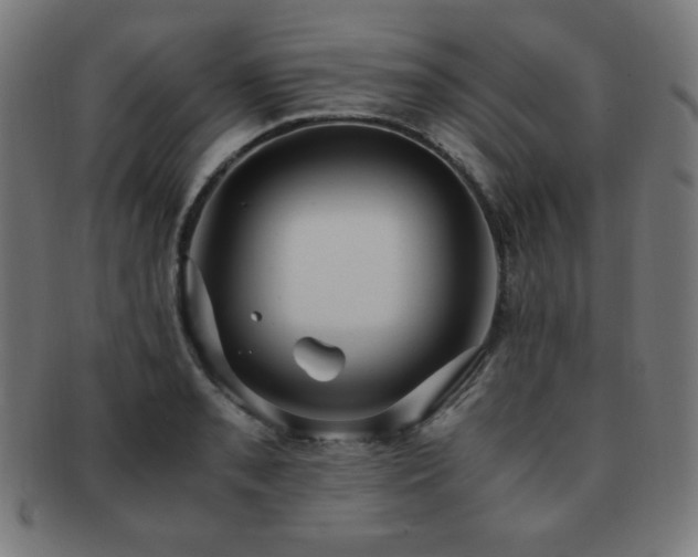 X0000091881085200709051319