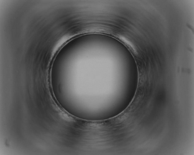 X0000091881086200709051319