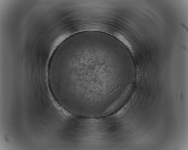 X0000091881088200709051319