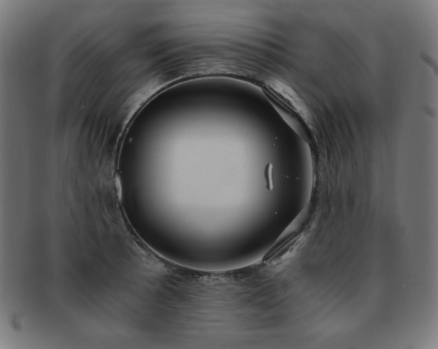 X0000091881089200709051319