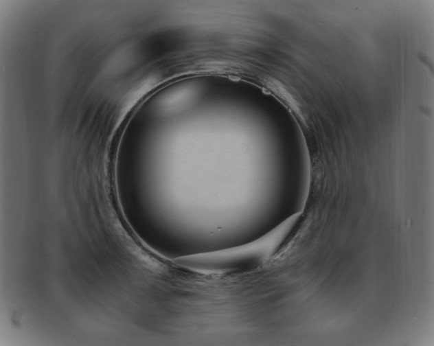 X0000091881091200709051319