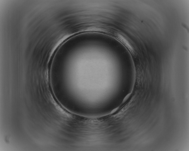 X0000091881092200709051319