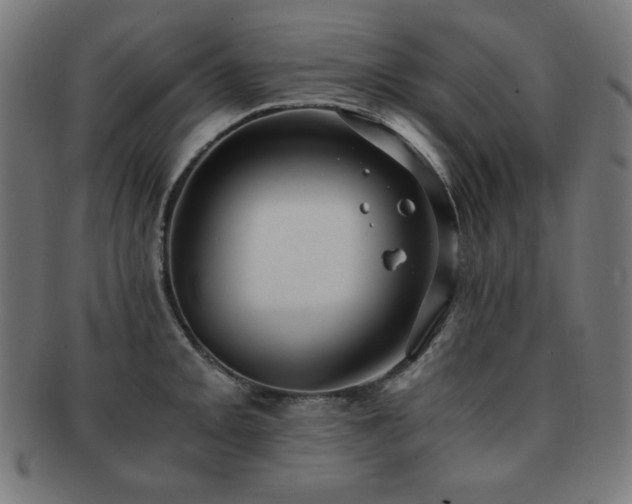 X0000091881093200709051319