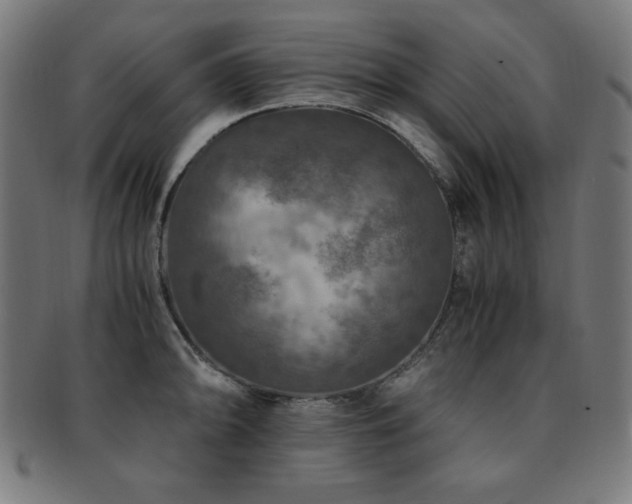 X0000091881094200709051319
