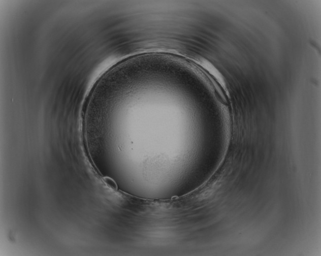 X0000091881096200709051319