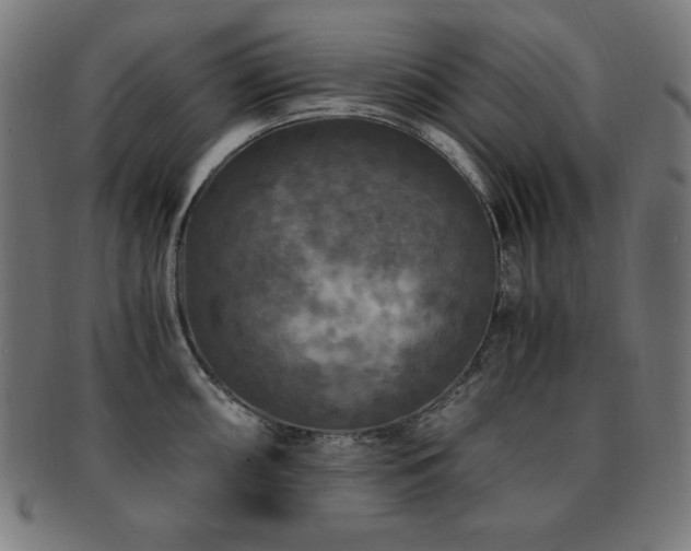 X0000091881098200709051319