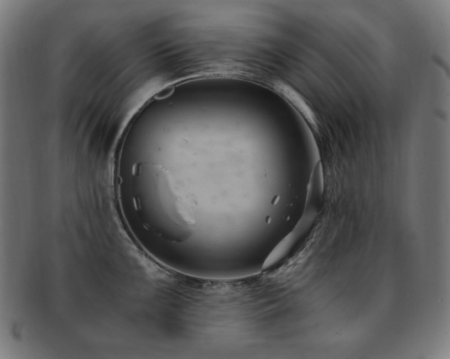 X0000091881099200709051319