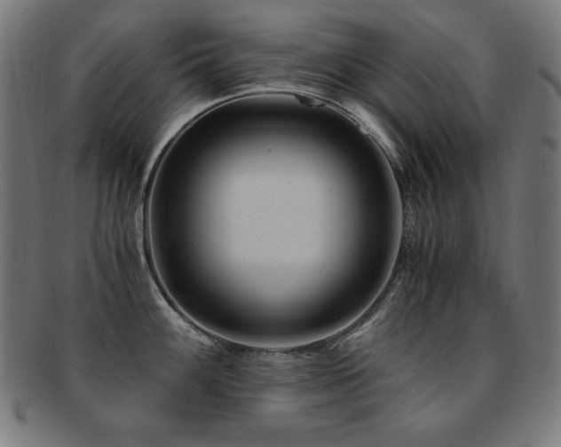 X0000091881100200709051319