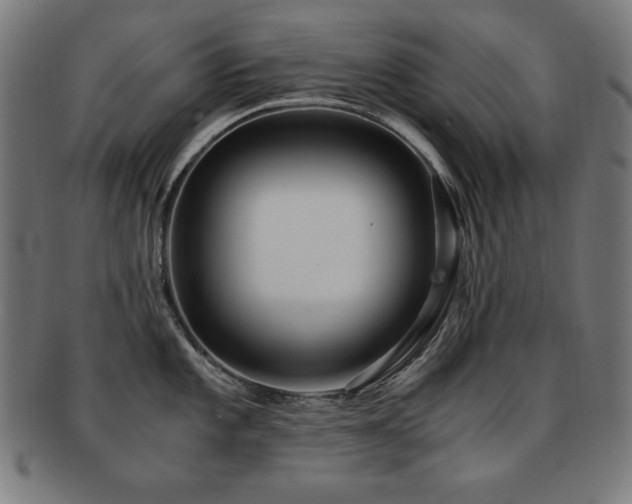 X0000091881101200709051319