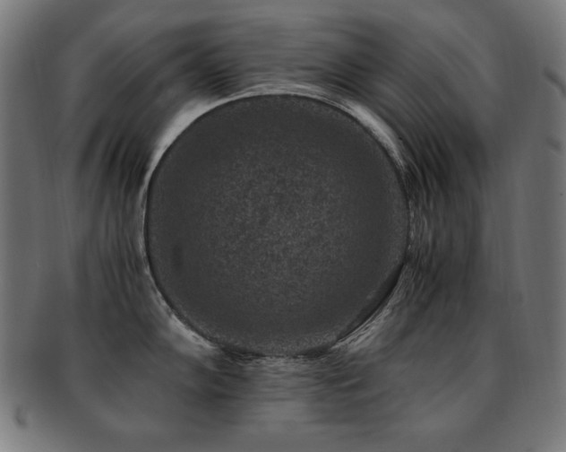 X0000091881102200709051319