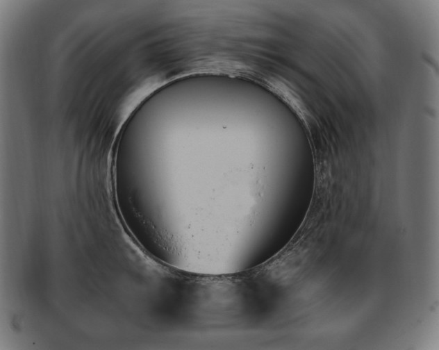 X0000091881103200709051319