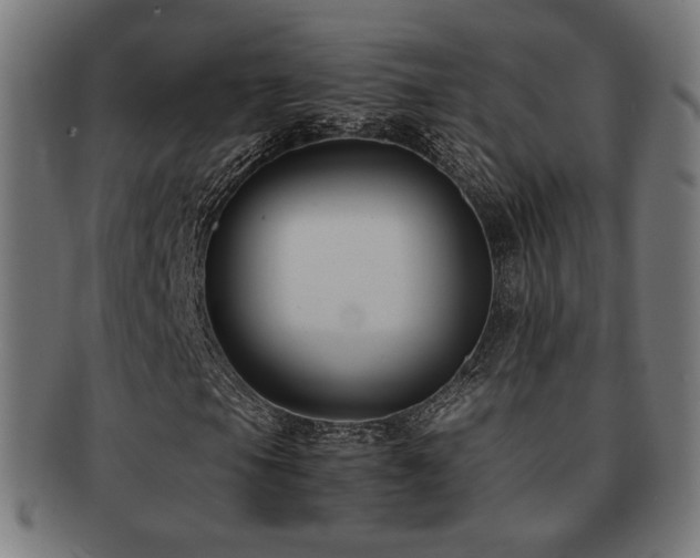 X0000091881105200709051318