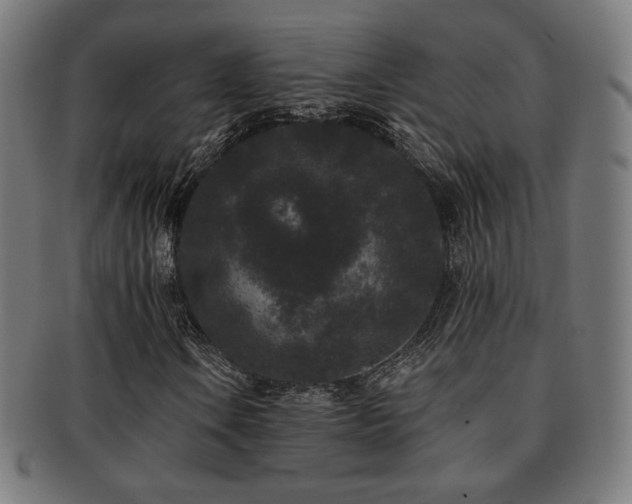 X0000091881106200709051318