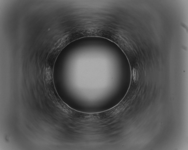 X0000091881107200709051318