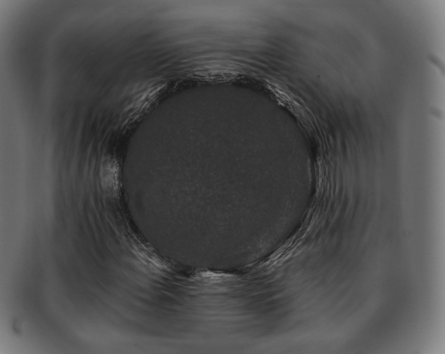 X0000091881108200709051318